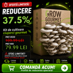 Kit de Cultivare Ciuperci Pleurotus Acasă