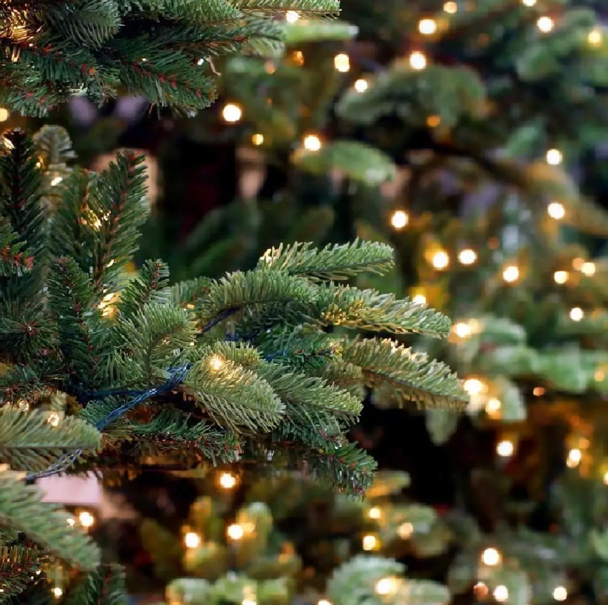 1+1 Gratuit - Instalatie Solara 100 Leduri, Interior/Exterior, 10 Metri