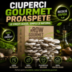 Kit de Cultivare Ciuperci Pleurotus Acasă