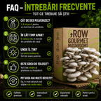 Kit de Cultivare Ciuperci Pleurotus Acasă