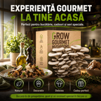 Kit de Cultivare Ciuperci Pleurotus Acasă