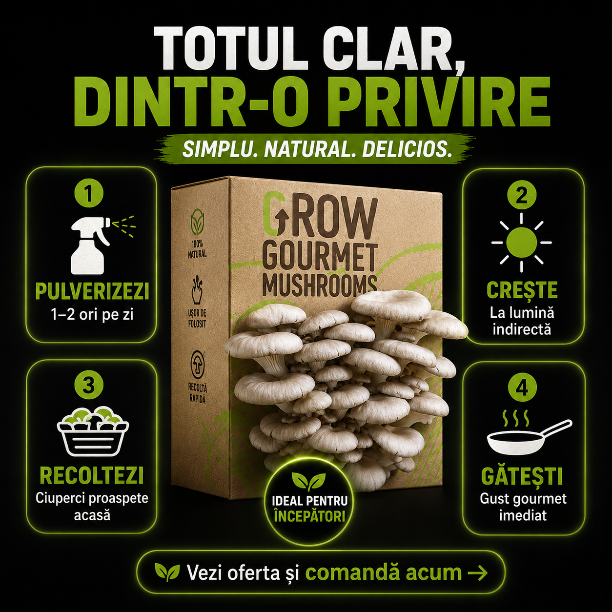 Kit de Cultivare Ciuperci Pleurotus Acasă