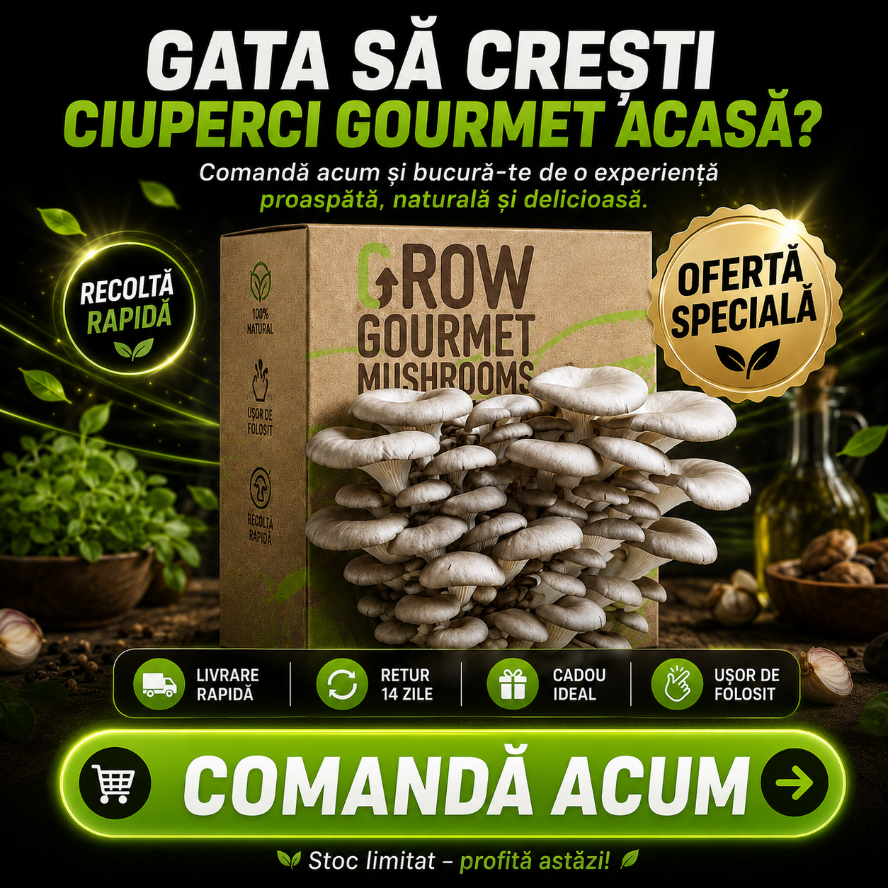 Kit de Cultivare Ciuperci Pleurotus Acasă