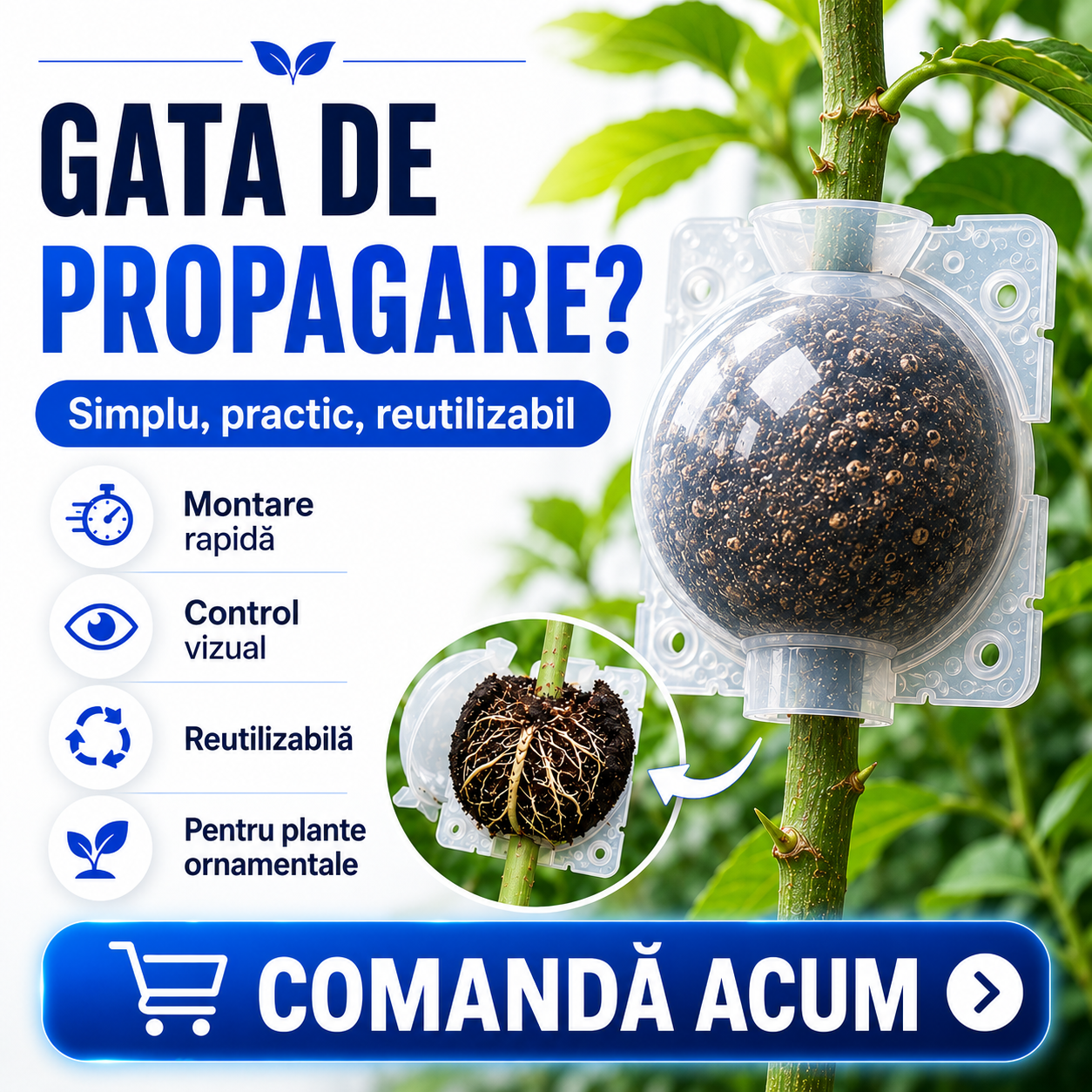 Capsulă pentru Înrădăcinarea Ramurilor