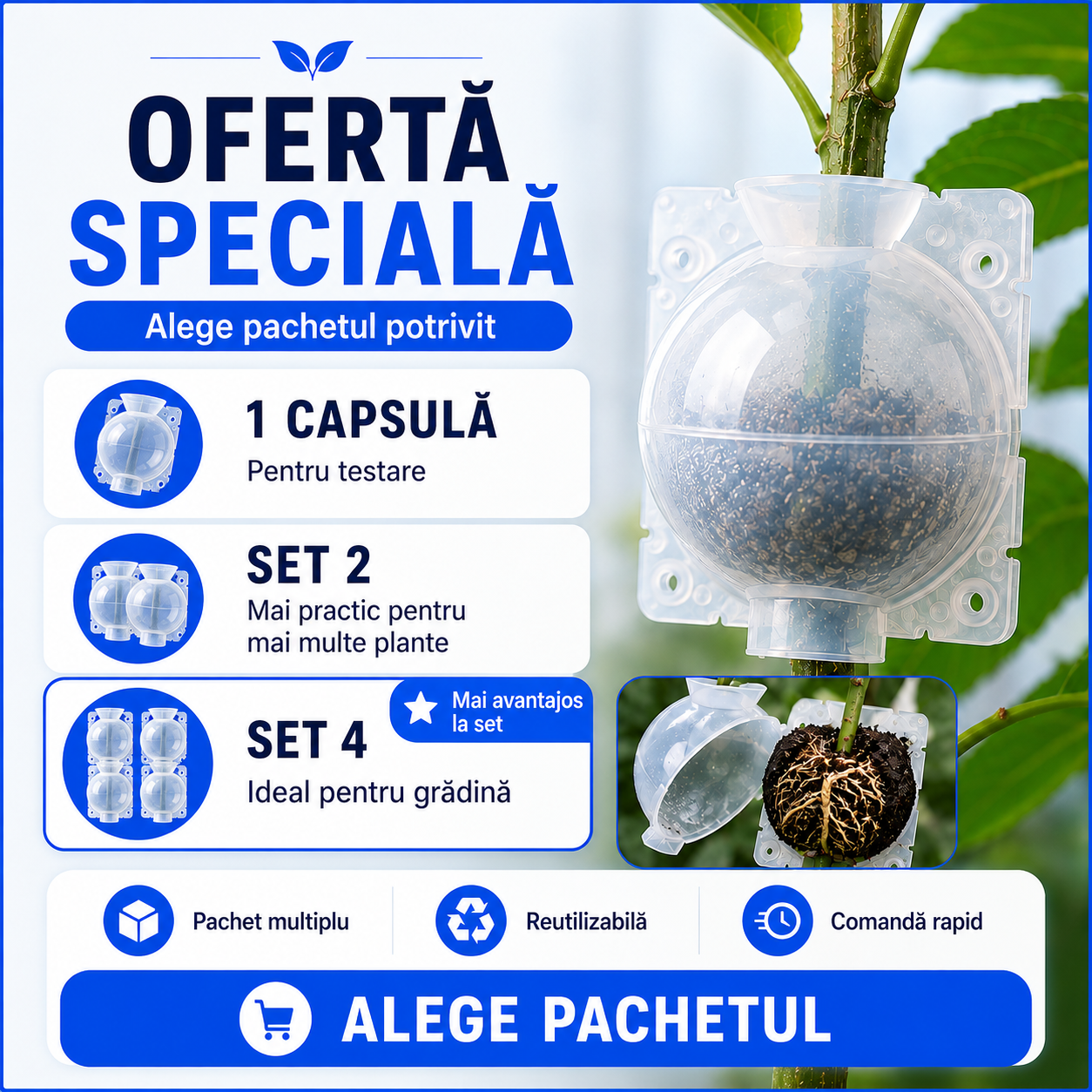 Capsulă pentru Înrădăcinarea Ramurilor