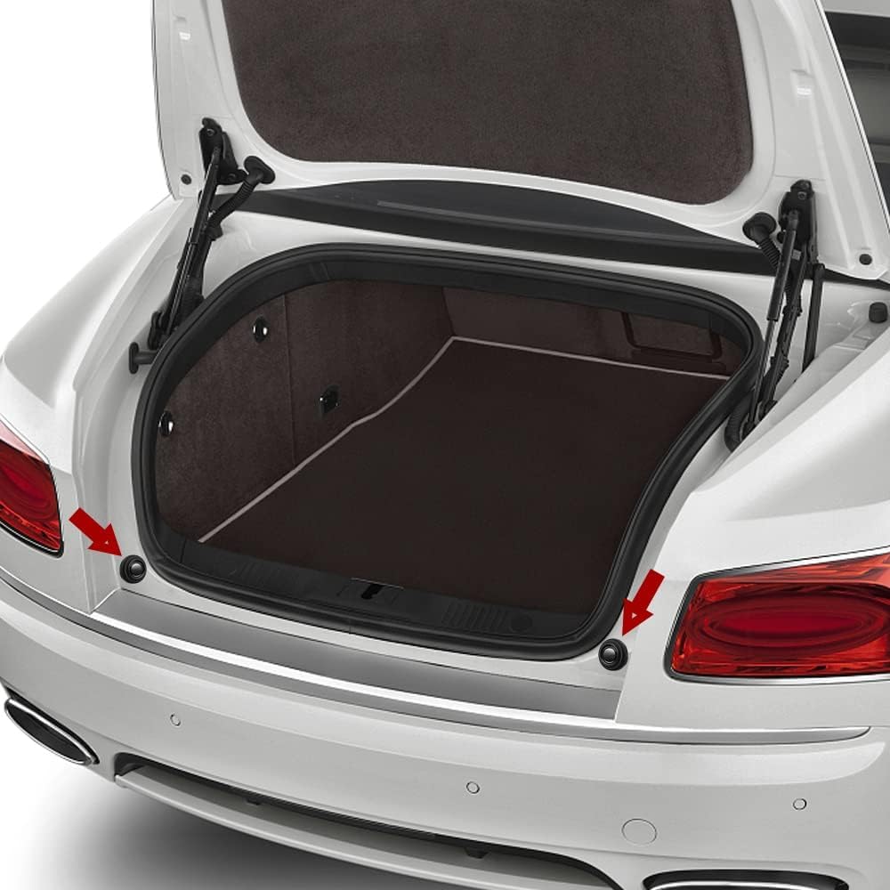 Set Amortizoare Portiera OFERTĂ