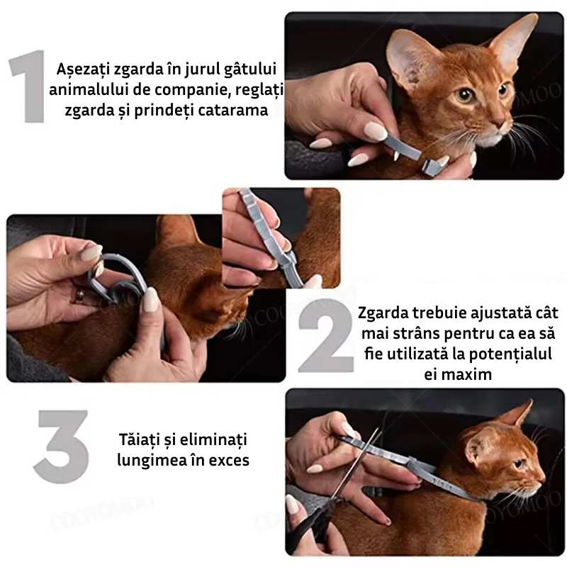 Zgardă purici pentru pisici și câini