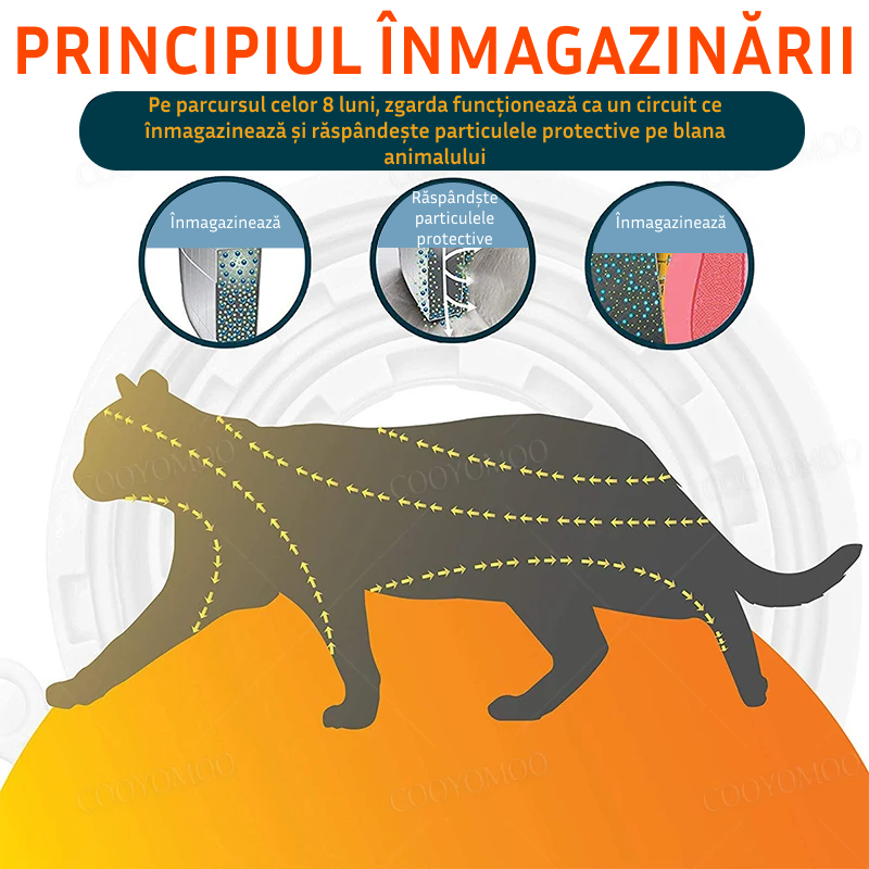 Zgardă purici pentru pisici și câini